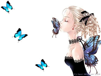 Kissing Butterflys, wings, kissing, butterflys, dream HD wallpaper