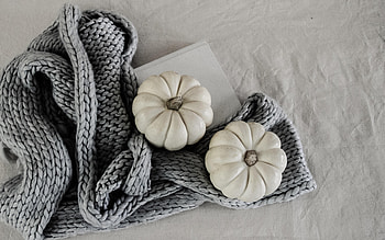 Autumn, Pumpkin, Miscellanea, Miscellaneous, Cloth, Book, Coziness, Comfort HD wallpaper