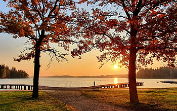 Autumn Sunrise in Latvia, Latvia, trees, sunrise, lake, autumn HD wallpaper