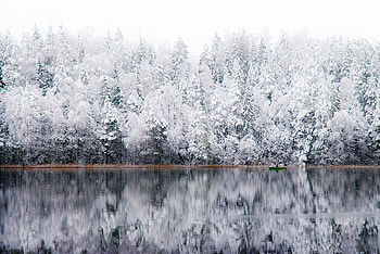river winter snow trees, winter, trees, river, snow HD wallpaper