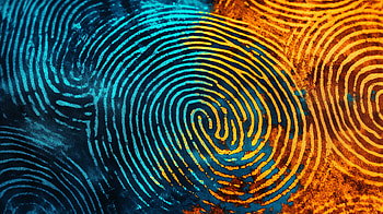 Vibrant Fingerprint Patterns - Ultra, Abstract, colorful, pattern, texture HD wallpaper