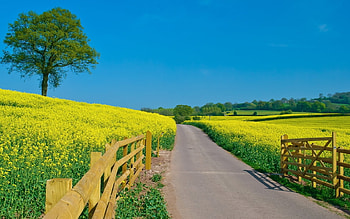 Landscape, Fields, Roads HD wallpaper