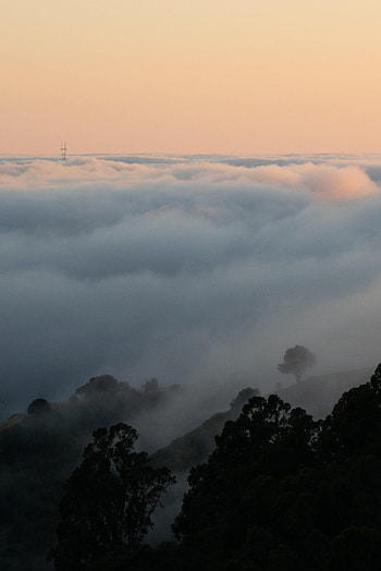 Nature, Trees, Sky, Clouds, Fog, Slope HD phone wallpaper