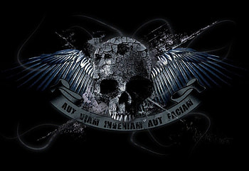 cool, blue, fly HD wallpaper