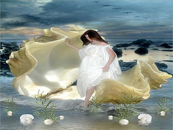 Venus, sea, shell, love, birth HD wallpaper