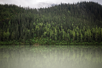 Trees Water Nature Clouds , trees, water, nature, clouds HD wallpaper