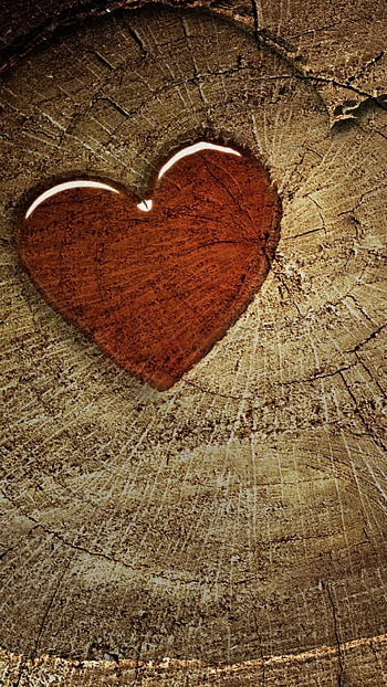 Brown Heart, Brown, Aesthetic HD phone wallpaper