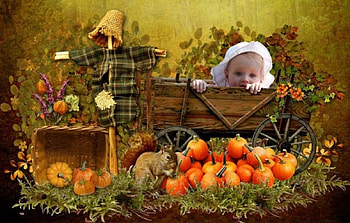 Autumnal collage, baby, autumnal, collage, fall leaves HD wallpaper