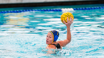 Siblings in Water Polo, Family success, Playing together, CSUB Bakersfield HD wallpaper