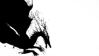 White And Black Dragons 2d Dragon Black White Black HD wallpaper