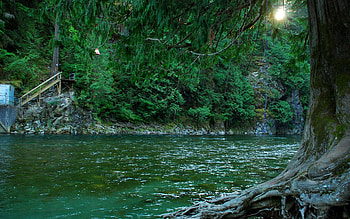 Nature, Rivers, Canada, Forest HD wallpaper