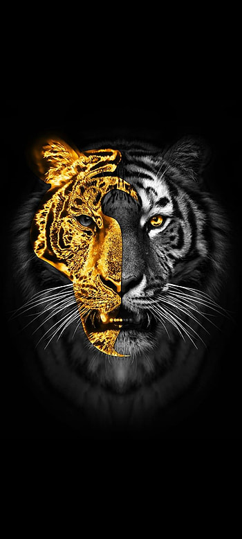 Abstractus, eye, head, tiger HD phone wallpaper