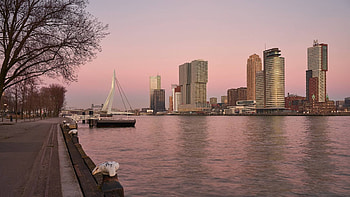 Rotterdam Skyline, Travels, Edscaptures, Artofit HD wallpaper