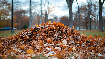 Autumn Leaf Pile - A Ultra, leaf pile, Autumn, leaf, nature HD wallpaper
