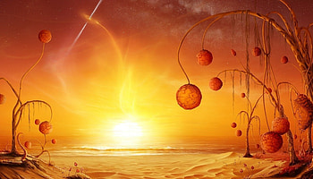 Alien plants, sand, plants, orange, alien, beauty, day, planet, fantasy, light, ball, sun HD wallpaper
