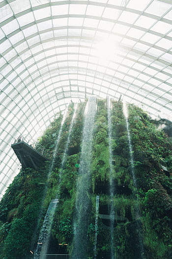 Explore the lush greenery and stunning waterfalls inside Singapore's Cloud Forest dome. HD phone wallpaper