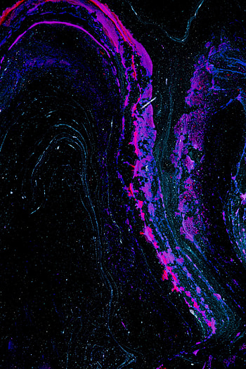 Abstract, Dark, Multicolored, Motley, Paint, Tinsel, Sequins HD phone wallpaper
