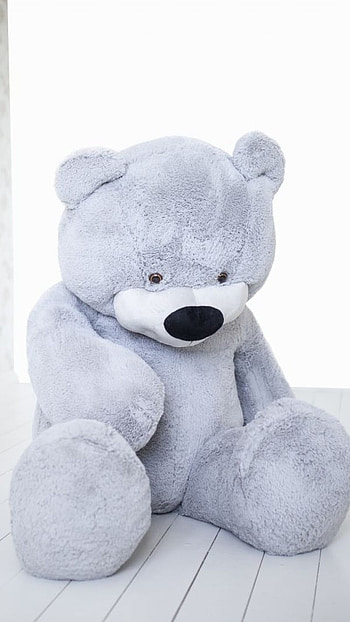 Teddy Bear Ke, White, Background HD phone wallpaper