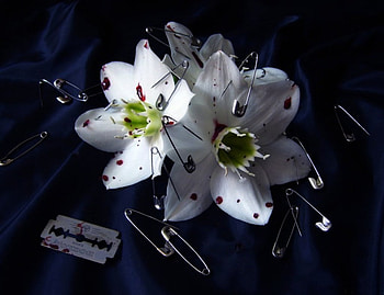 Flower of Death, gothic, razor blades, safety pins, flowers, blood HD wallpaper