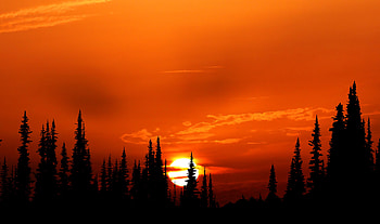 Relaxing Orange Sunset Evening , sunset, nature HD wallpaper