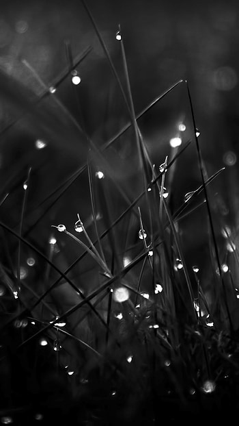 Most Popular Nature & Landscape 6 HD phone wallpaper