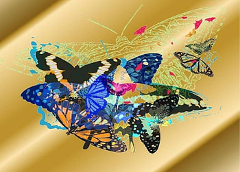 Butterflies on Gold, butterfly, gold stripes, collage HD wallpaper