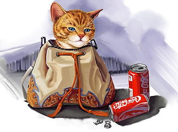 Playful Kitty, kitty, handbag, peekaboo, hiding, playful HD wallpaper