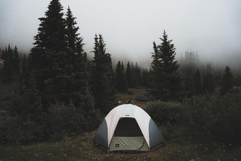 Nature, Trees, Fog, Tent, Campaign, Hike HD wallpaper