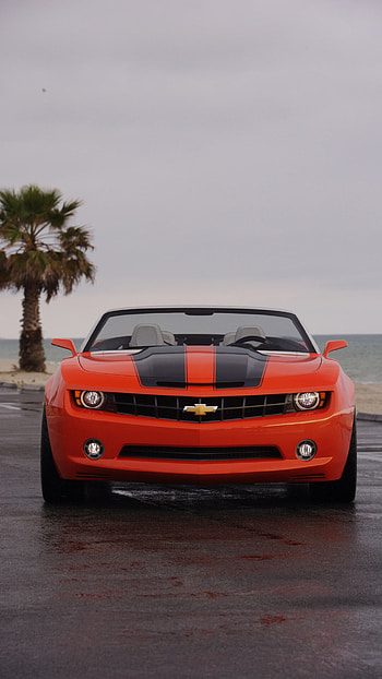 Camaro , Vibrant and dynamic, High-quality visuals, Showcase your style HD phone wallpaper