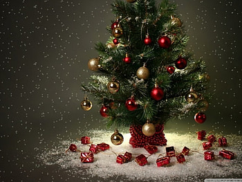 Little christmas tree, decoration, christmas, new year, tree HD wallpaper
