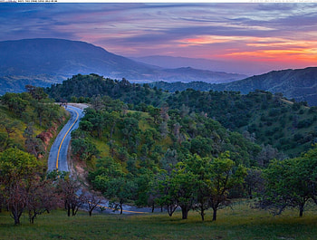 Caliente Road Bakersfield California, lush, california, beautiful, country, usa, trees, view, road, america, mountains, forest, evening, countryside, sunset HD wallpaper