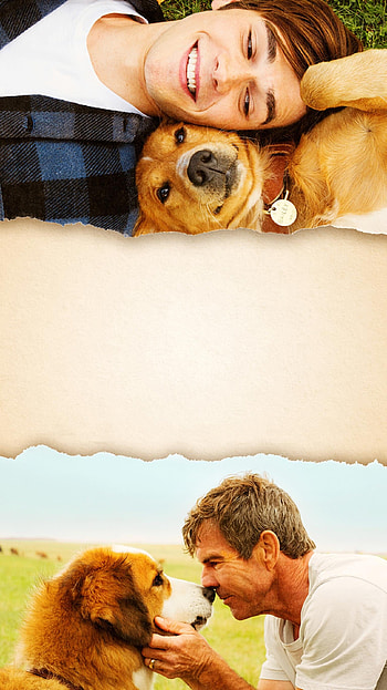 A Dog's Purpose, Top , Backgrounds, Dogs and humans HD phone wallpaper