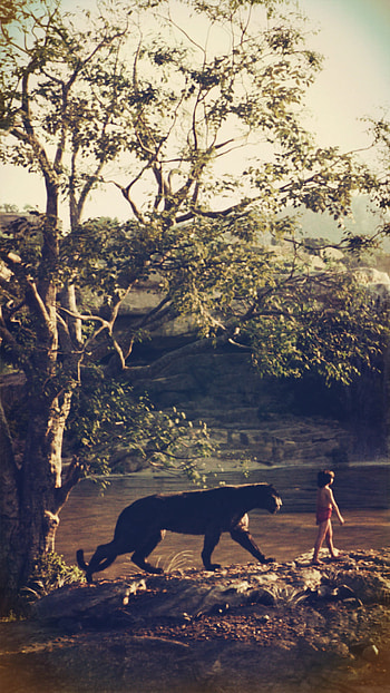The Jungle Book movie, Inspiring , Lively jungle, Breathtaking beauty HD phone wallpaper