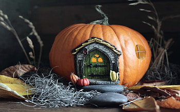 Fall Fairy Pumpkin Door House, House, Fairy, Orange, Fall, Black, Door, Pumpkin HD wallpaper
