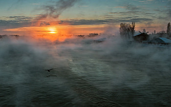 Nature, Houses, Rivers, Sun, Bird, Fog, Flight, Morning, Haze HD wallpaper