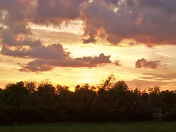 At the End of the Day, trees, summer, sky, sunset HD wallpaper