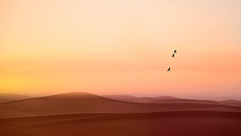 Dunes Sand Relaxing Birds Flying , nature, dunes, sand, birds HD wallpaper
