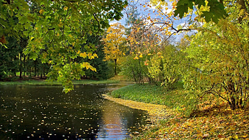 Autumn-Park, Autumn, lake, ParkNature, tree HD wallpaper