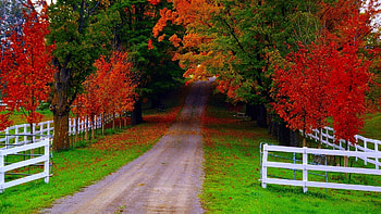 For > Cool Fall For | Nature Beautiful | Pinterest | Fall and Nature HD wallpaper