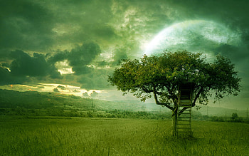 Golden Dream , dream HD wallpaper