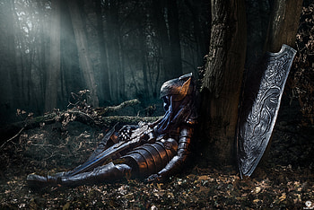 Knight, Dark Souls, Artorias (Dark Souls), Video Game, Forest HD wallpaper