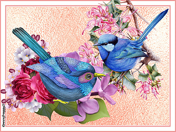 PRETTY BLUE BIRDS, BIRDS, PRETTY, , BLUE HD wallpaper