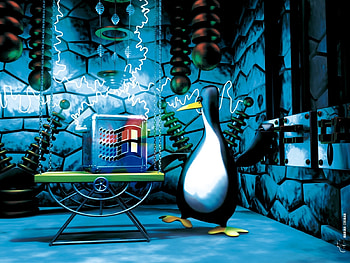 Funny, Windows HD wallpaper