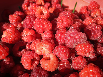Food, Raspberry, Berry, Ripe, Appetizing HD wallpaper