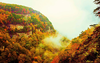 Cloudland Canyon State Park, Georgia, fall, landscape, colors, trees, rocks, forest, usa, hills, fog, autumn HD wallpaper