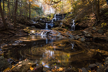 Forest Stream, Nature, Forest, Stream, pond HD wallpaper