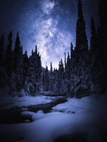 Banff National Park, Canada, night, trees, forest, bridge HD phone wallpaper
