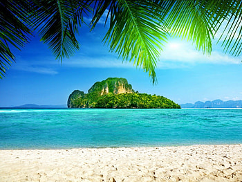 Tropical island, island, rays, blue, crystal, sunlight, tropical, beach, shore, reflection, sands, trees, water, sun, m shine, ocean, palm trees, palms, sea, tropics, exotic, emerald, branches, nature, sky, clear HD wallpaper