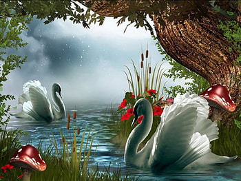 swans in the moonlight, swans in the moonlightswans in the moonlightswans in the moonlightswans in the moonlight, swan lake, nlight, swans in the moo HD wallpaper