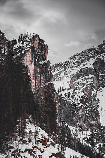Nature, Trees, Snow, Rocks, Relief HD phone wallpaper